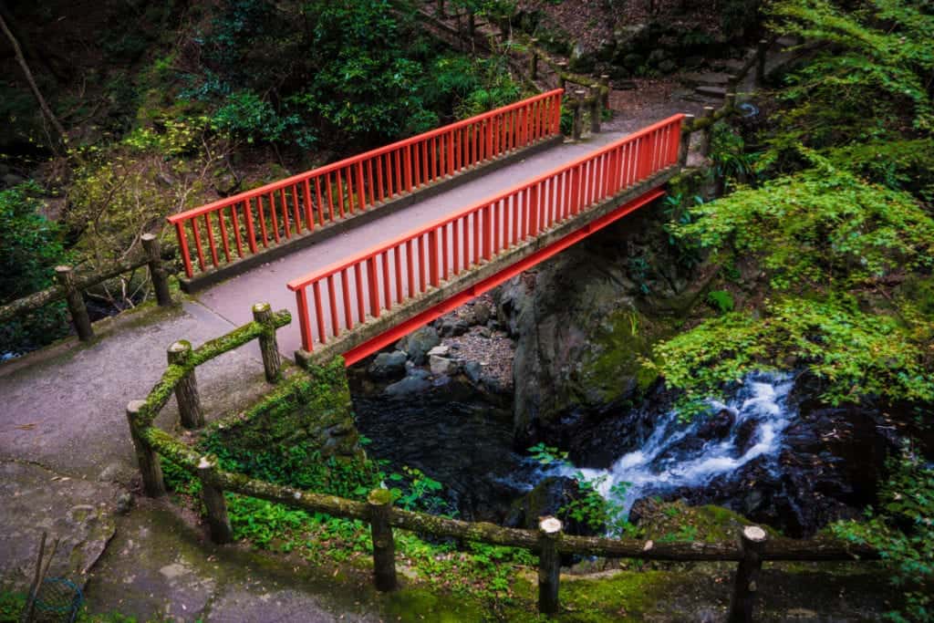 Bridge hidden in the forest at Minoo Park.