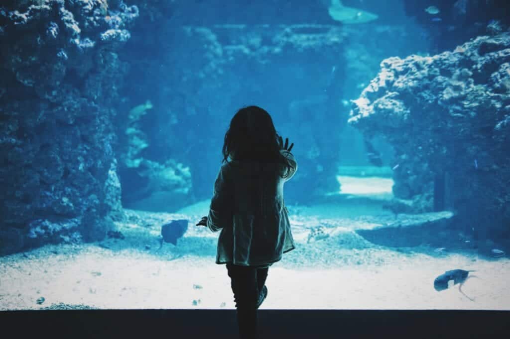 Liten flicka framför akvarium.
