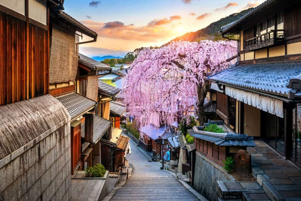 Popular street in Higashiyama with cherry blossoms.