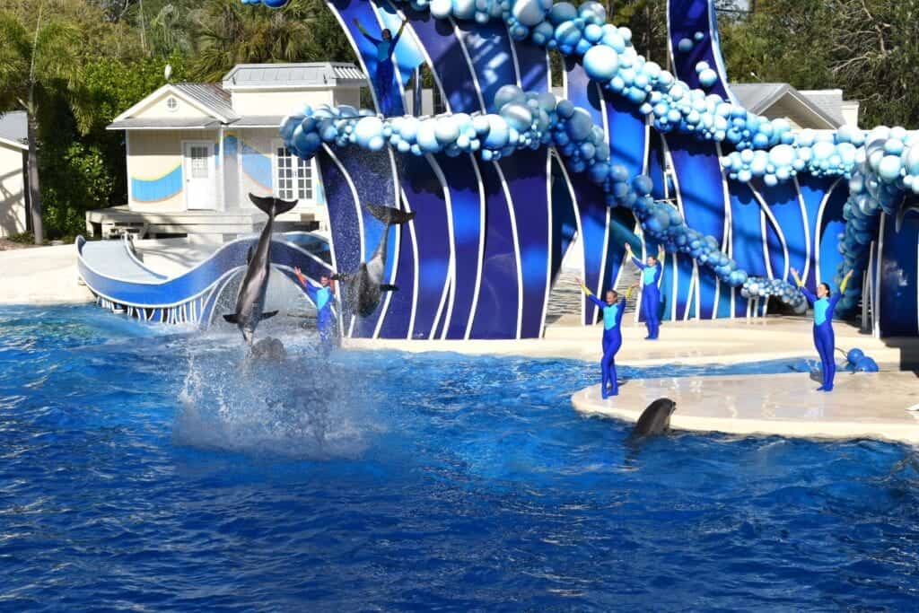 Delfin show seaworld.
