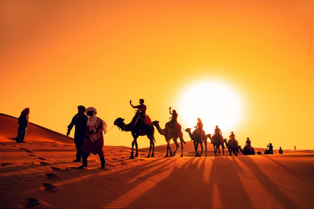 Camel ride in Dubai desert during sunset.