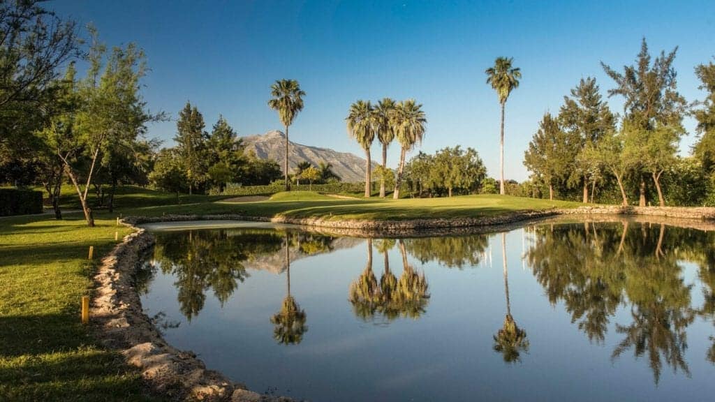 Palm trees on display over the lake at La Quinta Golf Club, spain.