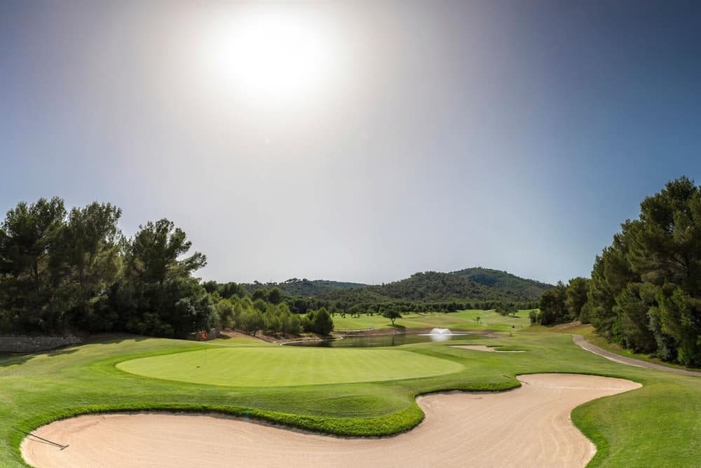 Grass field and trees on display with the sun into the camera at Son Quint Golf in spain.