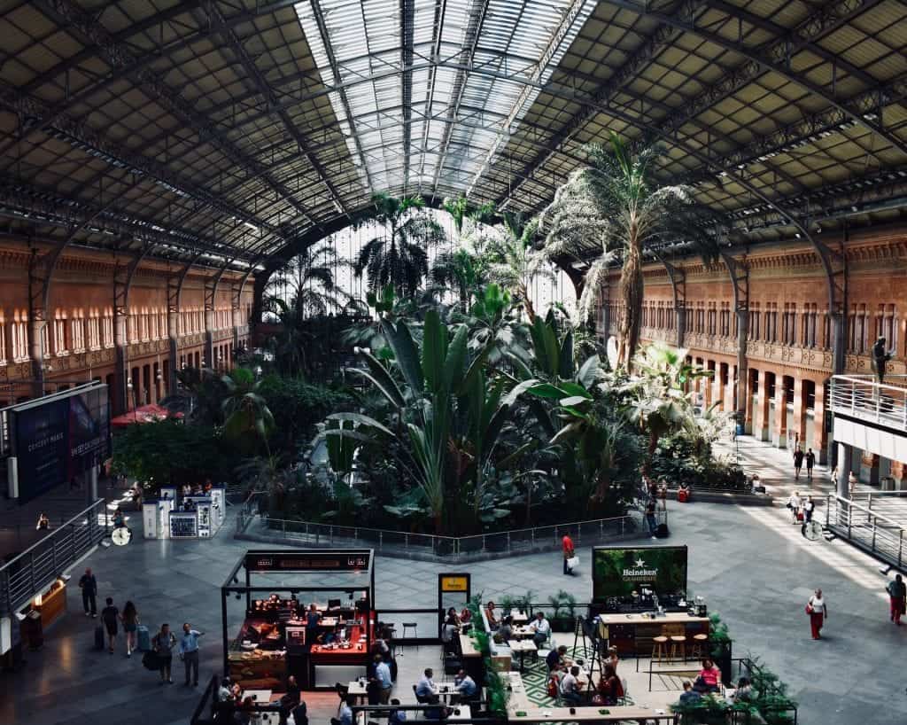 Inside the Atocha train station and its djungle.
