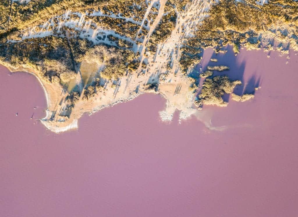 En rosa sjö taget från skyn.