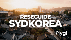 reseguide sydkorea