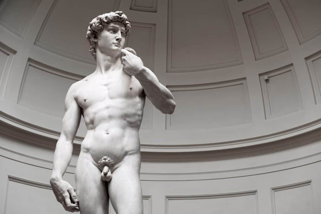 David statyn Galleria dell'Academia