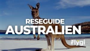 Reseguide Australien.