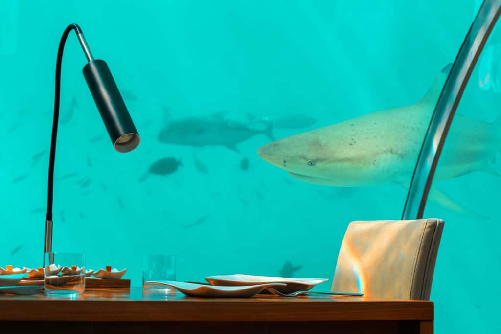 Hajar restaurang under vatten