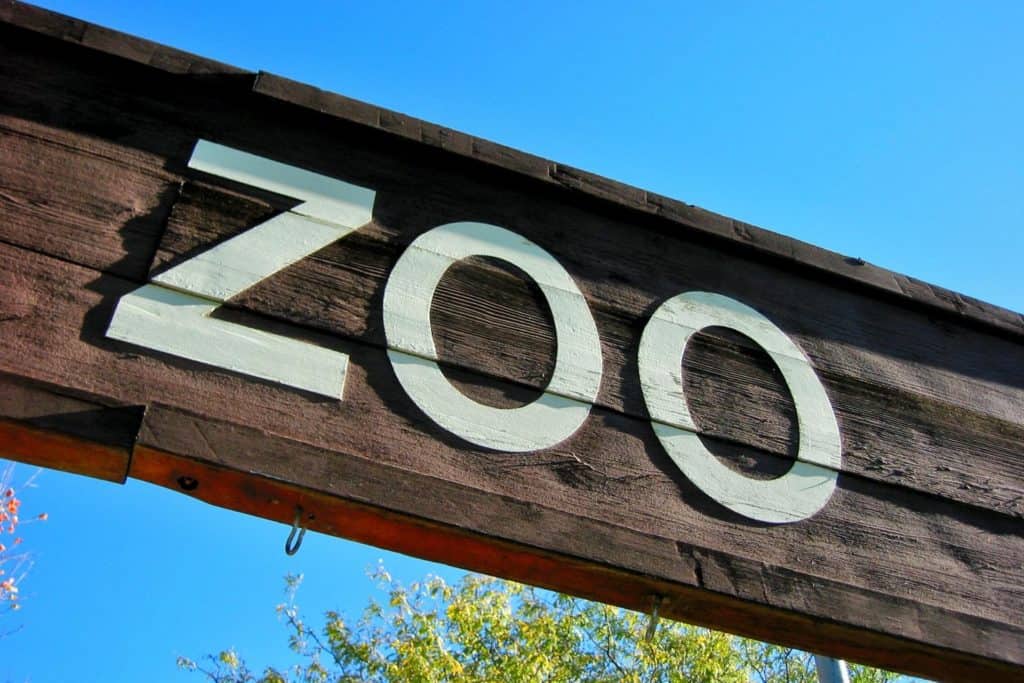 Skylt trä zoo.