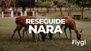 Reseguide Nara.