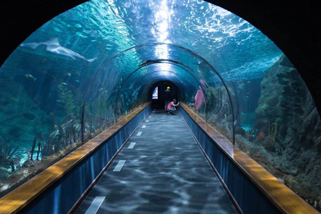 Akvarium tunnel