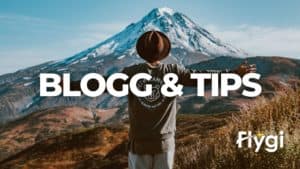 Blogg och tips