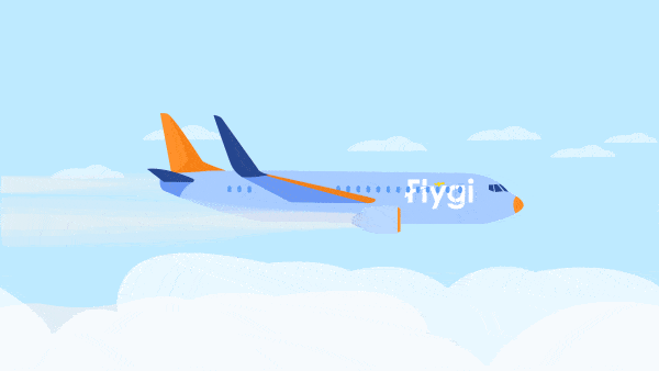 Flygi flight animation